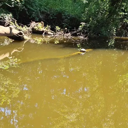 Horizont Ii - Side Sea View * سوزوبول